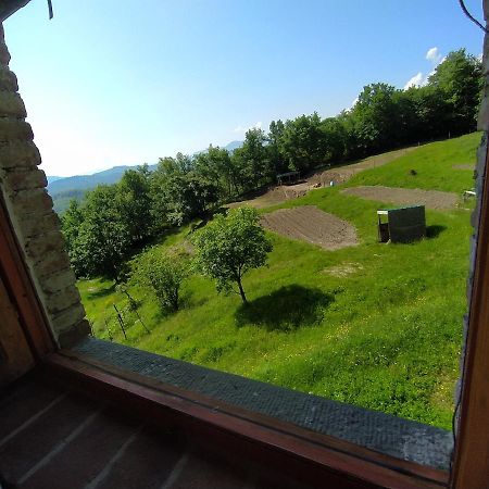 Agriturismo Paneolio Villa Collemandina ภายนอก รูปภาพ