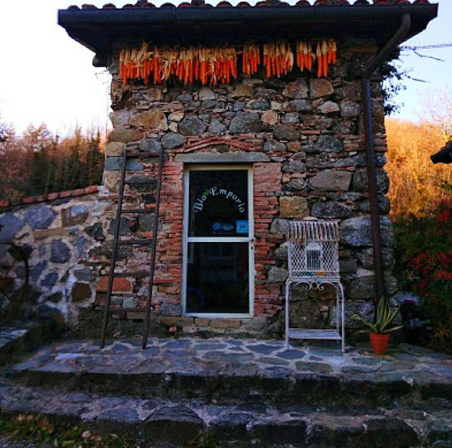 Agriturismo Paneolio Villa Collemandina ภายนอก รูปภาพ