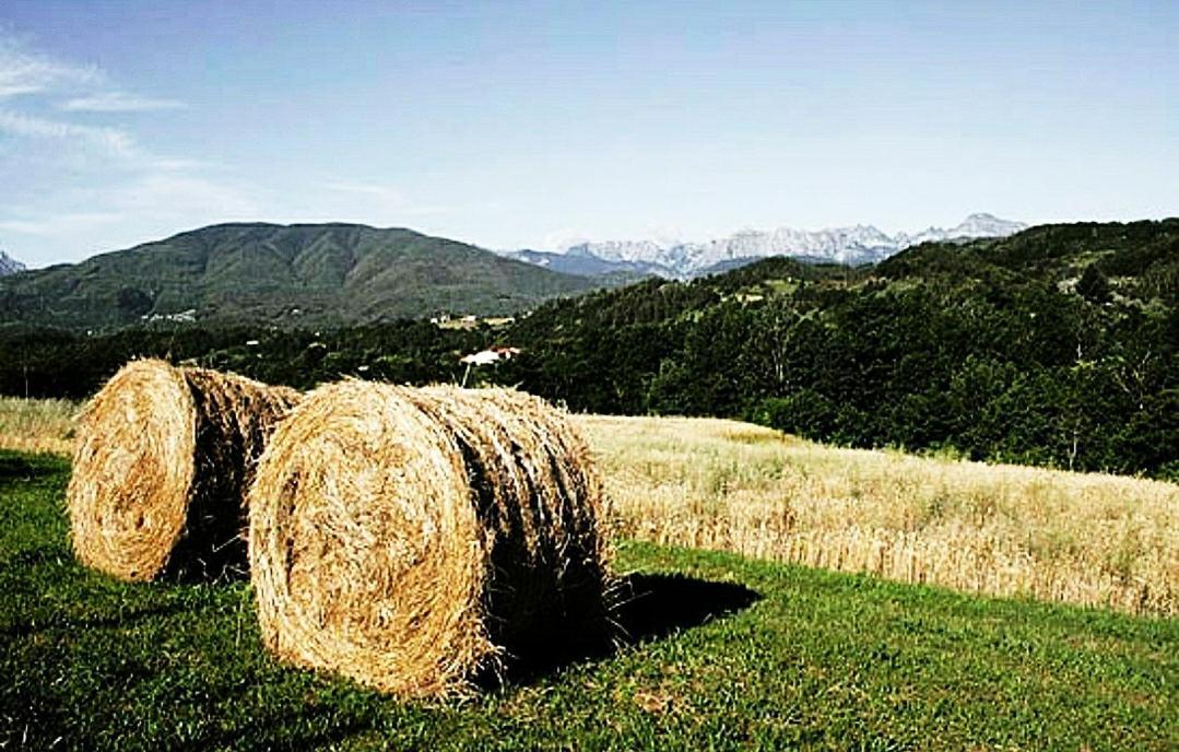 Agriturismo Paneolio Villa Collemandina ภายนอก รูปภาพ