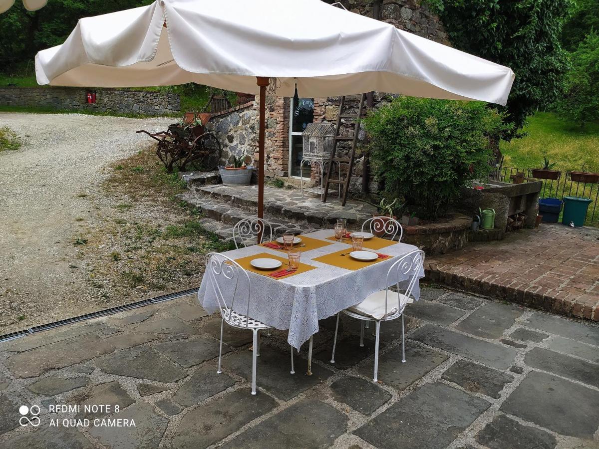 Agriturismo Paneolio Villa Collemandina ภายนอก รูปภาพ