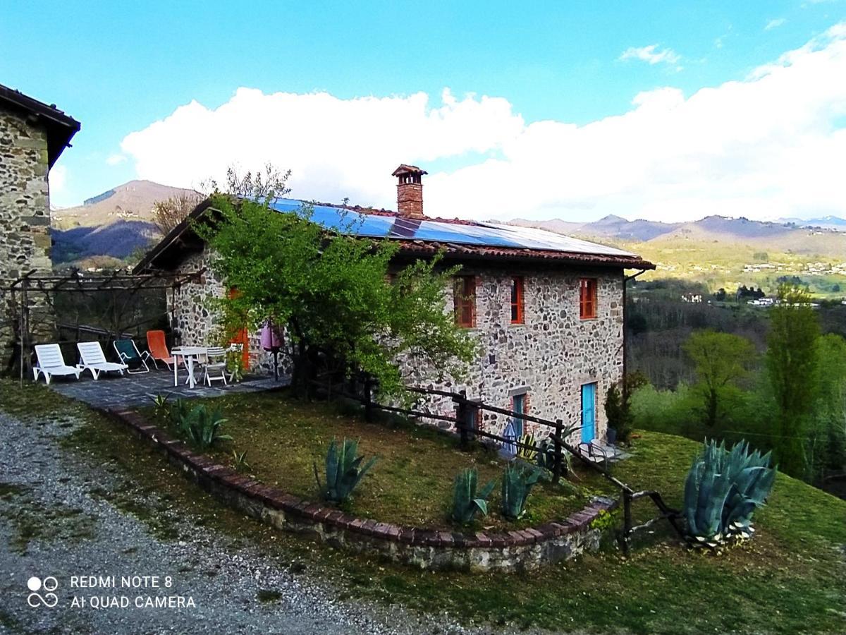 Agriturismo Paneolio Villa Collemandina ภายนอก รูปภาพ
