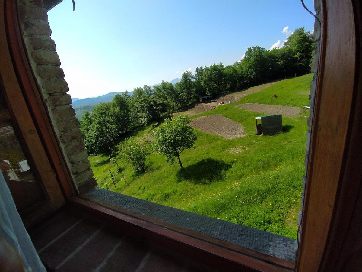 Agriturismo Paneolio Villa Collemandina ภายนอก รูปภาพ